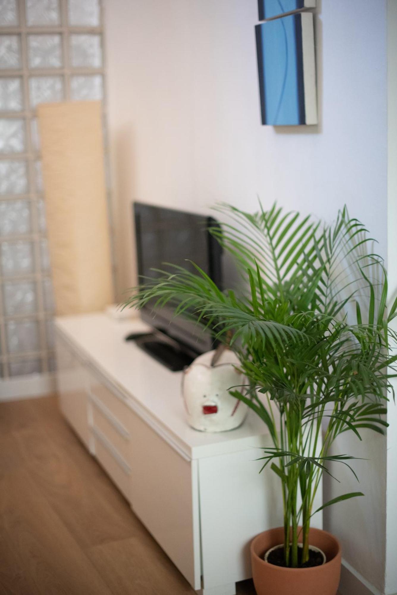 מאלגה Cozy & Quiet Apartment In The Center מראה חיצוני תמונה